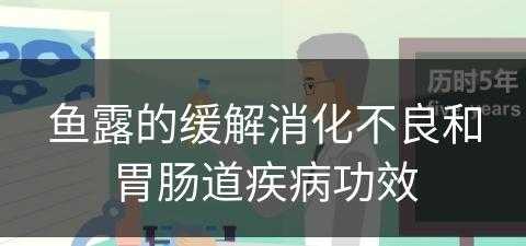 鱼露的缓解消化不良和胃肠道疾病功效